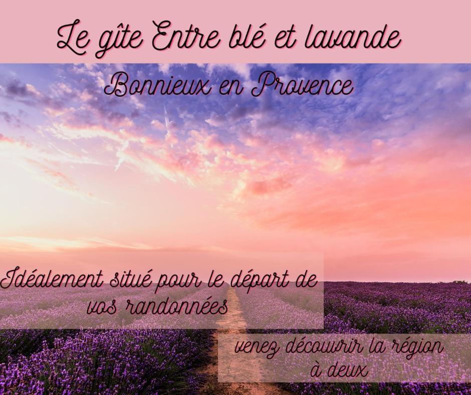 博尼约Entre Ble Et Lavande公寓 外观 照片